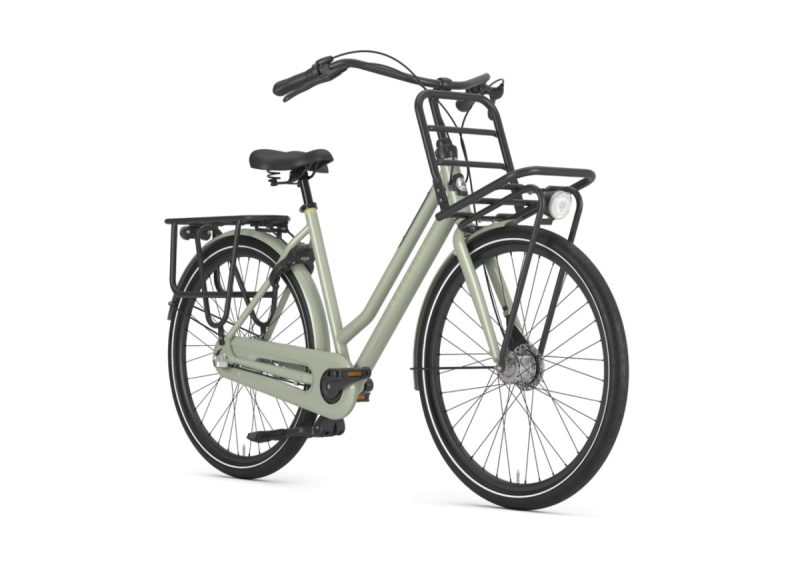 Gazelle HeavyDutyNL Pistache Green Glans 2021