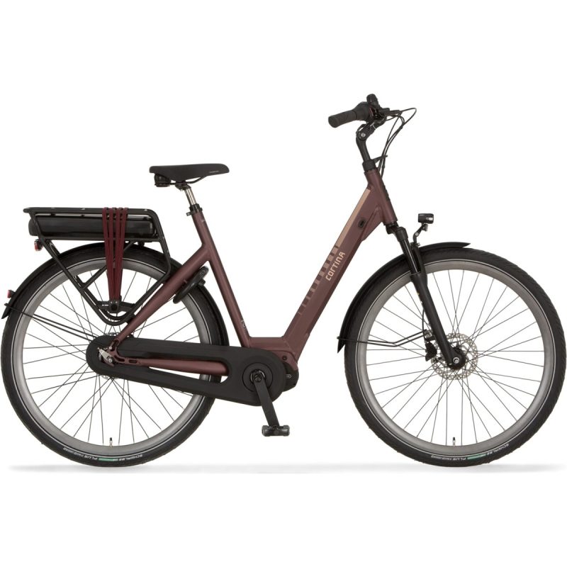 Cortina E-Octa plus Blackberry Wine Matt 2023