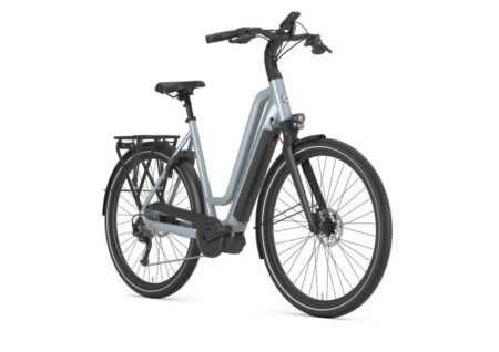 Gazelle Chamonix T10 HMS Brewster Grey Glans 2021
