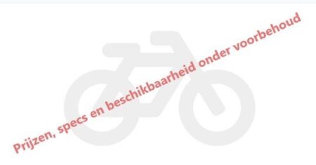 Batavus Dinsdag Donkerrood Mat 2022