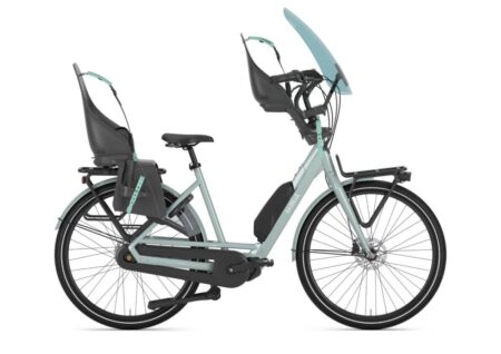 Gazelle Bloom C7 Light Olive Glans 2021