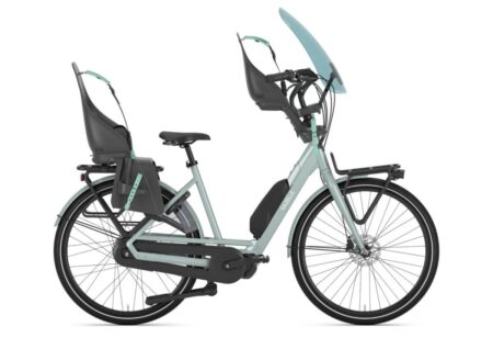 Gazelle Bloom C380 HMS Light Olive Glans 2021