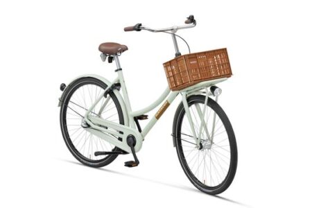 Batavus Packd Start-3 Classicgreen Mat 2022