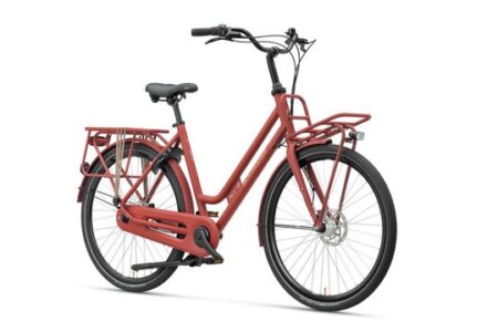 Batavus Quip-D EC Terrared Mat 2022