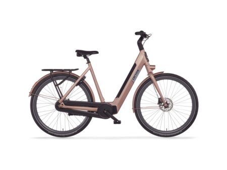 Cortina E-Nite Pink Champagne Matt 2025