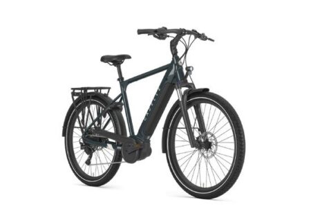Gazelle Medeo T10 HMB Pine Green Glans 2024