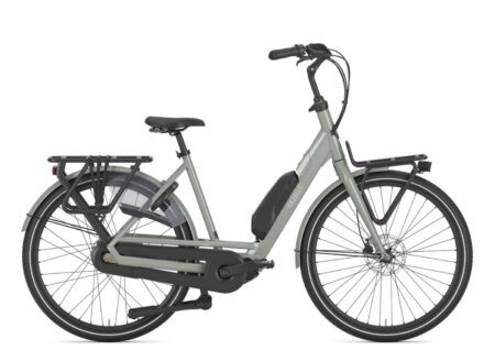 Gazelle Bloom C310 Clay Green Glans 2025