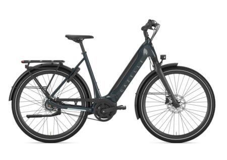 Gazelle Ultimate C8+ Pine Green Glans 2024