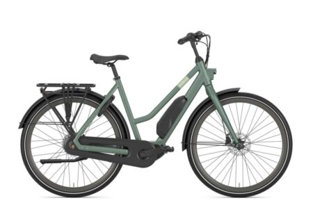 Gazelle Esprit C7 Moss Green Mat 2025